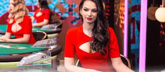 bgg bet